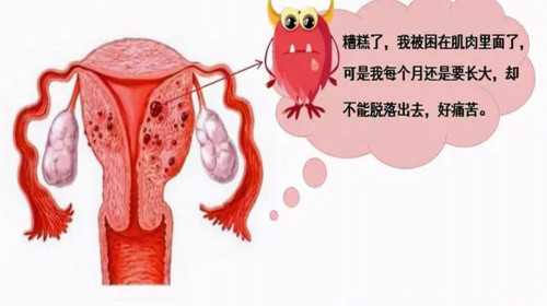 武汉同济医院哪个试管医生好,武汉市试管婴儿费用因素有哪些？?