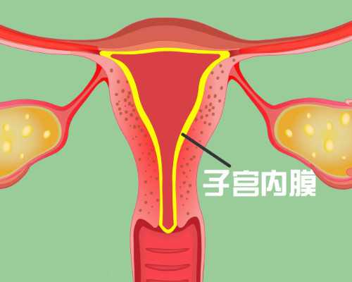 武汉市哪些医院可做供卵试管,武汉试管助孕医院排名前十是哪些？?