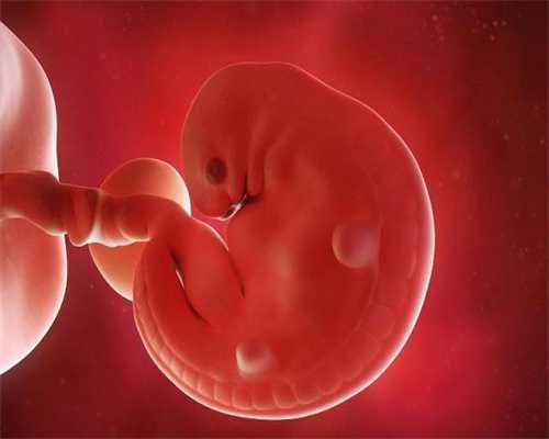 代孕产子多少费用_代孕哪里靠谱_什么样的胚胎可以长成囊