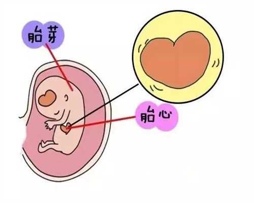 代孕产子合同_代孕辅助生殖_捐卵做过一次三代宝鸡妇幼人流多少钱？