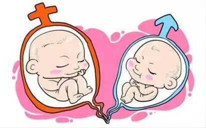 做代孕哪里安全_代孕的过程需要多久_试管婴儿胚胎移植能看出男女吗