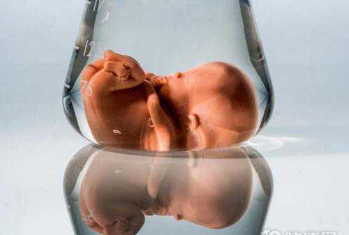 代孕花钱多少_代孕那里做得较好_美国试管婴儿卵子冷冻过程时间表