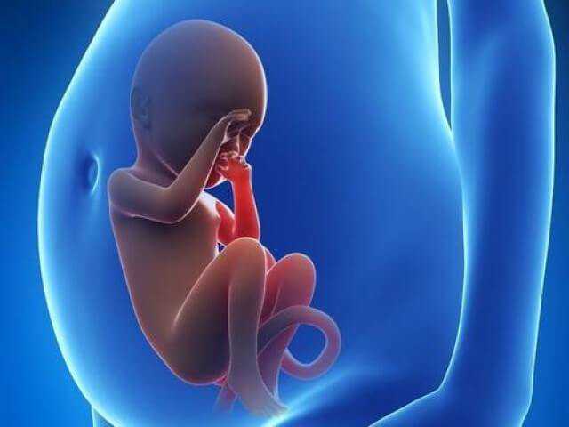 代孕生儿子全包价_代孕哪个国家合法_泰国试管婴儿成功率第三代是最高的吗