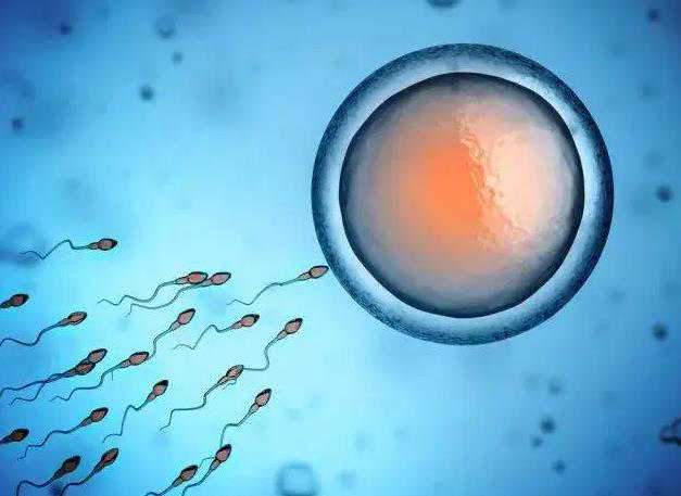 武汉借卵做试管代孕 2022在武汉大学人民医院做试管婴儿移植两个胚胎成功率高
