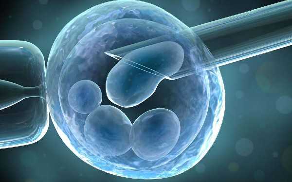 代孕怎么提取精子和卵子_代孕产子医院_三代试管婴儿双胞胎几率大吗？