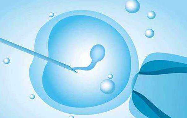 武汉助孕机构是哪里 武汉靠谱的私立供卵试管医院推荐 ‘男孕囊和女孕囊的区