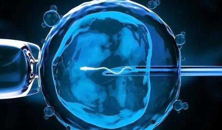 武汉代怀对婴儿的影响 武汉大学人民医院简介 ‘男性胎儿彩超图’