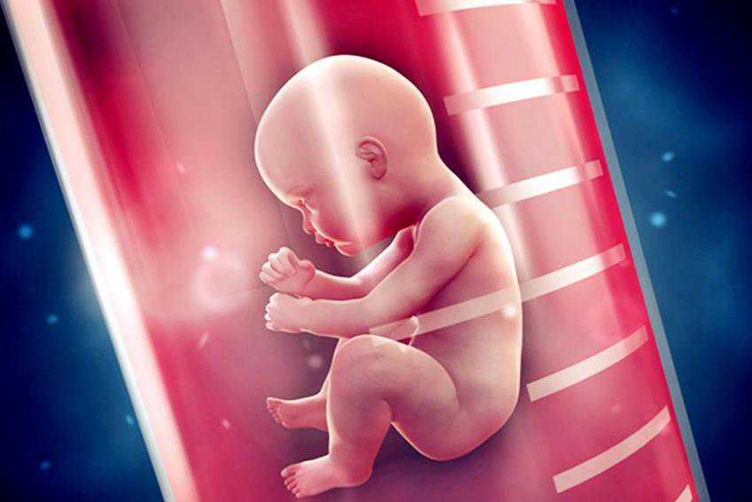 武汉代孕保成功在哪 武汉同济医院做试管婴儿成功率高吗? ‘怀孕两个多月女孩
