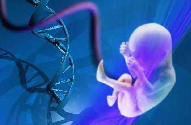 代孕能成功吗_代孕助孕中心_美国第三代试管婴儿：PGS/PGD基因检测技术