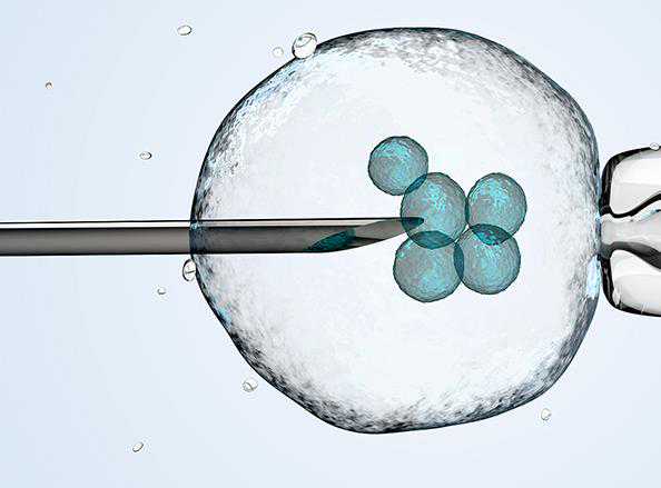 武汉试管代怀包成功价格 影响武汉同济试管移植鲜胚成功率因素 ‘从b超单子看