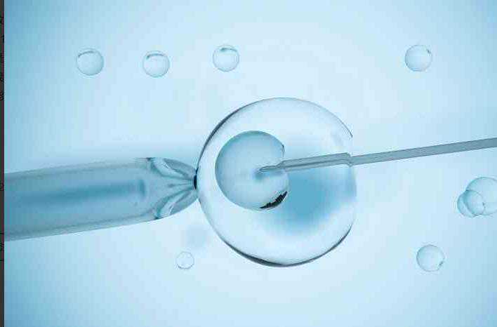 代孕目前在能做吗_代孕在哪些州合法_上海九院做试管婴儿最好吗？哪个医生最