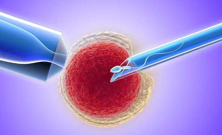 哪有代孕的_代孕移植成功率多高_「试管放2个胚胎成功高吗」怎么做才能避免出