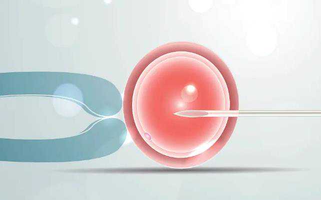 代孕保成功在哪_专业的助孕包性别_试管婴儿前刮宫是否有助于增加囊胚着床率