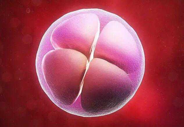 代孕孩子怎么办_代怀孕代孕哪里好_试管婴儿胚胎移植后如何保胎？从补充叶酸