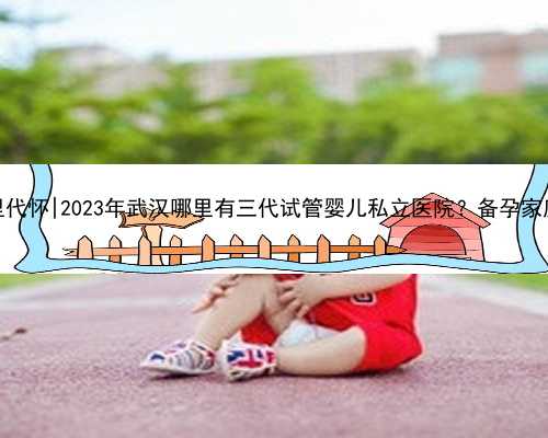 武汉哪里代怀|2023年武汉哪里有三代试管婴儿私立医院？备孕家庭必看！