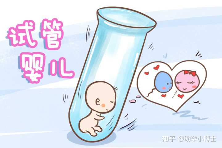 上海单身女性做供精试管婴儿费用明细表,上海仁济医院申请供精试管婴儿的条